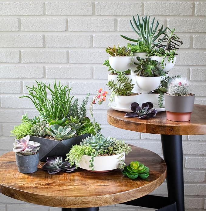 The HC Companies 8 Inch Round Plastic Succulent Capri Bowl 8"x8"x3" in Faux Concrete Color