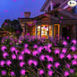 Kohlrabi Solar Garden Lights Outdoor, 6 Pack 60 LED Pink Firefly Lights Waterproof, Sway by Wind, Solar Swaying Light for Yard Patio Backyard Garden Planter Flower Bed Pathway Outdoor Decoration