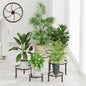 5 PackHeavy Duty Rack for Planter,Anti-Rust Flower Pot Stand Holder for Multiple Plants,Potted Plant Shelf for Living Room, Balcony, Garden, Patio