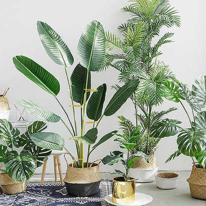 succulentlovers 4PCS Indoor Plant Support Stakes, 12.6 Inch Metal Monstera Plant Supports, Indoor Plant Trellis Plant Stem Holder Support for Indoors & Outdoor Garden Plants Stabilization and Supports