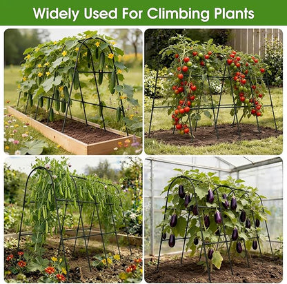 Cucumber Trellis for Raised Bed,U-Shape Garden Trellis for Climbing Plants Outdoor, Metal Arch Vegetables Trellis, Plant Support for Vine (Black, 63" Lx21.6 Wx47.2 H-Large)