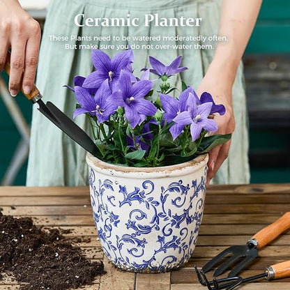 Vintage Ceramic Planter with Drainage Hole, Plastic Tray & Mesh, 5.5 Inch - Indoor/Outdoor Flower Pot, Blue Floral Rustic Farmhouse Design Plant pot for Home, Office & Garden Décor, Ideal Gift