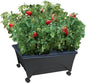 Emsco Group City Picker Raised Bed Grow Box – Self Watering and Improved Aeration – Mobile Unit with Casters