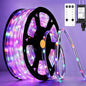 100FT 720 LED Christmas Rope Lights Outdoor Waterproof with Remote, 8 Modes and 4 Brightness Tube Lights for Patio, Outside, Garden, Indoor Outdoor Xmas Decoration (Multicolor)