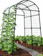 Garden Trellis Arch 7FT PP-Coated Stainless Steel Metal Extra Tall Cucumber Trellis Arch Garden Arch Trellis for Climbing Plants Outdoor Vegetable Trellis with Trellis Netting