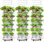 Strawberry Vertical Planters Tower Garden 3 Pack, 7 Tiered Stacking Herb Vegetable Planter with Support Pole Indoor and Outdoor - White
