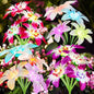 Solar Lights Outdoor Waterproof, 4 Pack Upgraded Garden Lights Solar Powered with 16 Double Layer Lily Flowers, Colorful Outdoor Solar Lights for Outside Yard Patio Garden Decor
