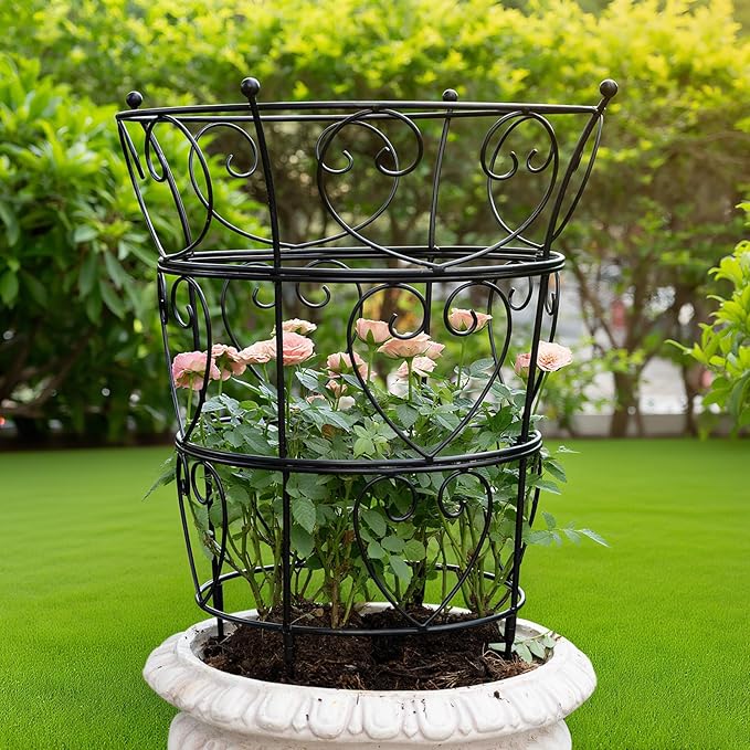 Trellis Peony Cage Obelisk, Black Metal, 24.6 x 17 Inches