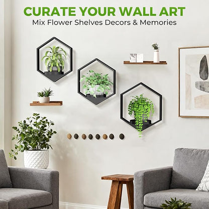 Wall Planters for Indoor Plants, Plant Frames Wall Decor Living Room Plant Stand Hanging Wall Plants Holder to Hold Large Pots Wall Plant Hanger Window Plant Shelves for Outdoor Entryway