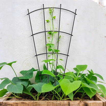 4 Pack 32'' Indoor Plant Trellis for Potted Plants Climbing Outdoor Metal Garden Trellis Houseplants Flowers Vine Ivy,Fan Shape, Black