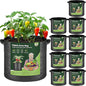 T4U 7 Gallon Grow Bags, Upgrade Grow Bags with Handles, Heavy Duty Thickened Nonwoven Fabric Pots, 7 Gallon Pots for Plants, Bell Pepper, Chili, Carrot, Kale (10 Pack)