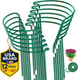 12 Pack Plant Support Stakes – Tall Plant Stakes for Indoor and Outdoor Gardens - Peony Cages and Supports - Cage Rings for Potted Flowers, Peony, Hydrangea, and Rose Bush (10" W x 16" - 24" H)