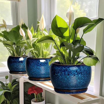 SQOWL Ceramic Planter 8 Inch - Pot for Indoor Outdoor Plants Round Ceramic Plant Pot with Drainage Hole and Saucer Modern Flower Pot Glazed Blue