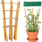 Bamboo Trellis, 12pack 16 Inch Small Plant Wood Bamboo Trellis for Climbing Plants Indoor Potted Plants