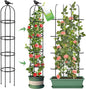 Tower Obelisk Garden Trellis for Climbing Plant，6.3FT/75.6" Rustproof Metal Potted Plant Climbing Support for Indoor Outdoor Flowers Vegetable Fruits Vines Support (1PCS)