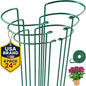 K-Brands Tall Plant Support Stakes – 10"W x 24"H Half Round Peony Cages and Supports for Indoor and Outdoor Plants – Plant Cage Ring Support for Flower - Peony, Tomato, Hydrangea, Rose Bush (6 Pack)