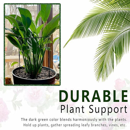 6 Pack Plant Support Stakes, 15.8" Half Round Metal Garden Plant Supports for Indoor Plants, Green Plant Cage Ring for Monstera, Peony, Hydrangea, Potted Plant Holder Sticks (10" Wide)