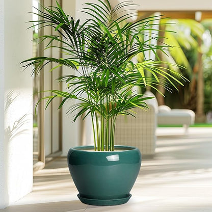 8 Inch Plant Pot - Ceramic Planter for Indoor Outdoor Plants, Glaze Modern Round Ceramic Flower Pot with Drainage Hole and Saucer, Gifts for Plant Lover, Home Office Patio Decor, Green