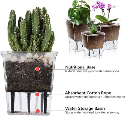 Self Watering Pots Set, 3 Pack 2.7 Inch Pots for Indoor Plants, Clear Nursery Planter with Deep Reservoir for Succulents, Seedlings, Small Plants