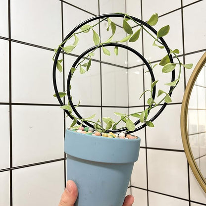 Mirthdino Premium Hoya Trellis - Unique Metal Plant Support for Climbing Plants - Set of 3 Different Sizes - Ideal for Indoor and Potted Plants