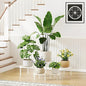 5 Pack Heavy Duty Rustproof Iron Flower Pot Stand Holder Indoor Outdoor Pot Stand Rack Decorative Round Flower Stand Display Shelf for Living Room