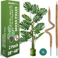 2 Pack 48" and 28'' Bendable Moss Pole Monstera Plant Support for Climbing Indoor Plants - Stakes for Potted Climbers - Tall Sticks Indoor Trellis for Houseplants - Accessories for Monstera Pot