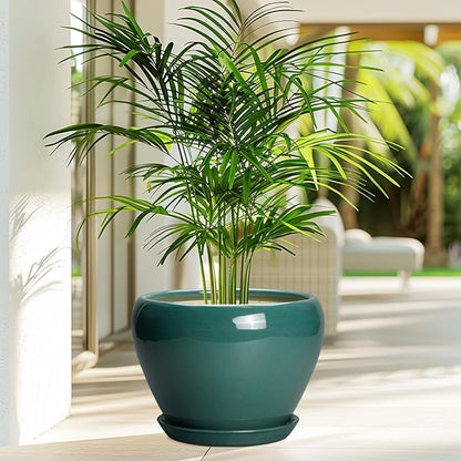 Ceramic Planter for Indoor Plants 10 Inch - Ceramic Plant Pot with Drainage Hole and Saucer, Glaze Round Modern Decorative Planter, Plant Lover Gifts, Home Room Office Decor, Green