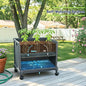Raised Garden Bed with Tomato Planter Cage