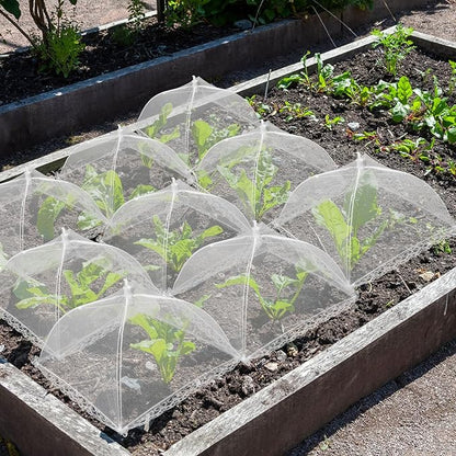 6 Sets Strawberry Plant Supports with Mesh Plant Cover,Strawberry Growing Racks with Metal Plant Nails and Storage bag for Strawberry Vegetables，Used to protect strawberries and keep them clean