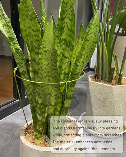 5 Pack Plant Support Stakes, Adjustable Plant Ring Cages with Green Rubber Wrapping, Ideal for Orchids, Indoor and Outdoor Potted Plants, 6" Wide x 11" High