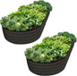 Plant & Plot Galvanized Raised Garden Beds Outdoor // 8×4×1 ft (2-Pack) Planter Raised Beds for Gardening, Vegetables, Flowers // Large Metal Garden Box // Patented Tool-Free Design (Black)