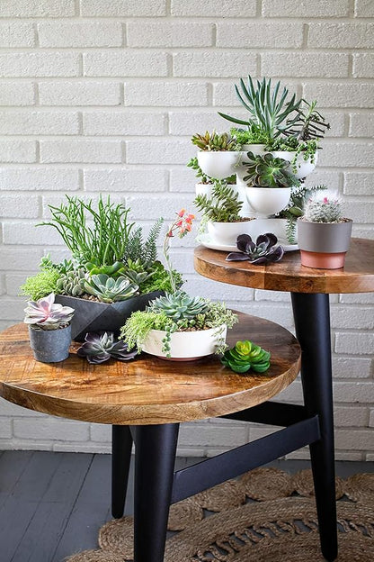 The HC Companies 8 Inch Round Plastic Succulent Capri Bowl Decorative Indoor Flower Succulent Planter Pot with Drain Plug Hole, Faux Concrete Color (2 Pack)