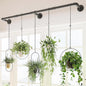 Bamworld Window Plant Hanger Indoor 63in Hanging Planters for Indoor Plants Hanging Plants Holder Hanging Rod Window Plant Shelves Wall Planters Pot/Chain/Plant Not Included(Black)