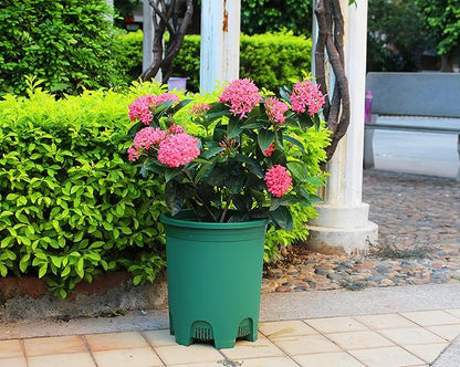 5 Gallon 10-Pack Green Nursery Pot Black Plastic Planters with Drainage for Outdoor Indoor Large Plants Trees