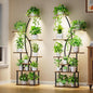 Plant Stand Indoor with Grow Lights - 8 Tiered Tall Plant Shelf, 65" Metal Corner Shelf for Indoor Plants Multiple, Large Curved Half-Moon Flower Holder Stand Display Rack for Patio, Home, 2 Pack