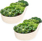 Plant & Plot Galvanized Raised Garden Beds Outdoor // 8×4×1 ft (2-Pack) Planter Raised Beds for Gardening, Vegetables, Flowers // Large Metal Garden Box // Patented Tool-Free Design (White)
