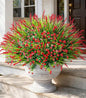 HyeFlora 20 Bundles Artificial Fake Outdoor Plants Flowers for Spring Decoration, UV Resistant Realistic Red Plastic Flowers Faux Plant Monkey Grass for Planter Home Garden Porch Patio Window Box