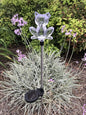 Solar Garden Stake Lights with Color Changing LED or Regular White LED Landscape Path Lights (Set of 2) (cat)