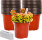 TDHDIKE 6 Inch Plastic Plant Nursery Pots (100pcs Pots and 100pcs Plant Labels) Seedling Flower Plant Container (Red) Seed Starting Pots Indoor/Outdoor