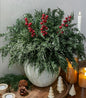 Cedar Stems Artificial Norfolk Pine Branches for Christmas Decor, 12 PCS Fake Pine Stems with 3 PCS Red Berries Branches Realistic Fake Plants Faux Greenery for Vases DIY Garland Xmas Table Indoor