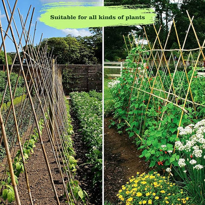 10pcs 1" D Thicker Heavy Duty Bamboo Stakes, 8FT Plant Stakes, Natural Garden Stakes for Tomato, Bean, Flowers,Trees Potted and Climbing Plant Support