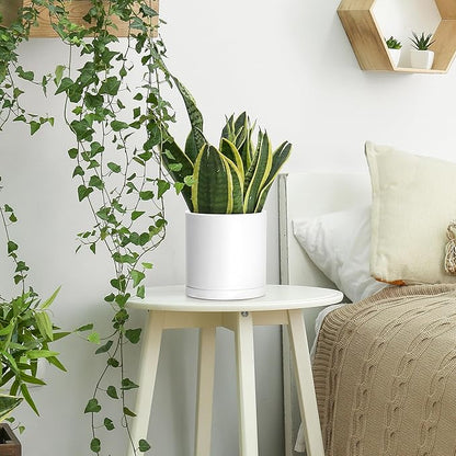 Planters 4 Pack 6.5 Inch Matte White Plastic Pots with Saucers