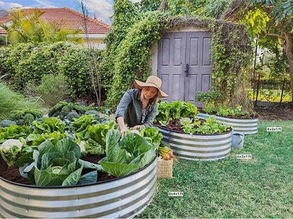 Plant & Plot Galvanized Raised Garden Beds Outdoor // 8×4×1 ft (2-Pack) Planter Raised Beds for Gardening, Vegetables, Flowers // Large Metal Garden Box // Patented Tool-Free Design (Silver)