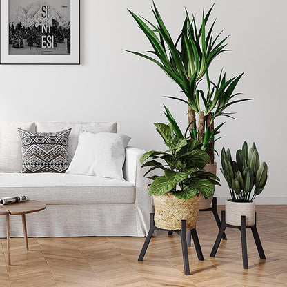 Adjustable Plant Stands Set of 2, Metal Small Plant Holder, Heavy Duty Stable Flower Holder Stand Rack for Various Pot Sizes Indoor Outdoor Corner Living Room Balcony Office Black PS-007BK-2