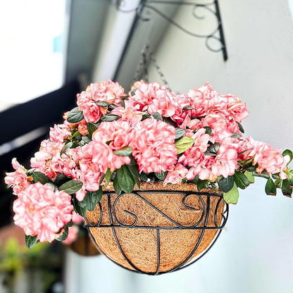 LaLaGreen Hanging Planter for Outdoor Plants (14 Inch, 4 Pack) Hanging Baskets with Coco Liner, Black Metal Wire Flower Basket Pots with Hook Hanger Balcony Porch Farmhouse Country Style Garden Decor