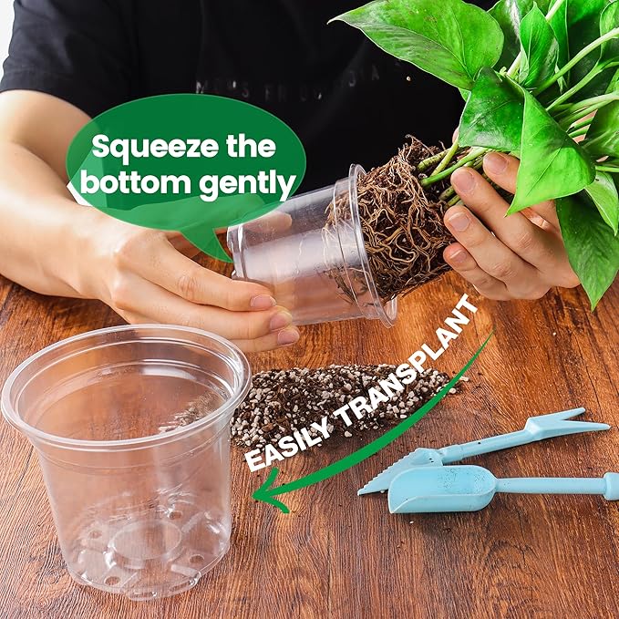 20 Pack 8/6/5/4/3.5 Inch Reinforced Large Clear Nursery Pots with Drainage Hole, Transparent Variety Pack Plastic Plant Pot for Vegetable Propagation, Root Cutting, Seed Starting