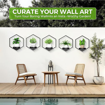 Wall Planters for Indoor Plants 5 Pack, Plant Frames Wall Decor Living Room Plant Stand Hanging Wall Plants Holder to Hold Large Pots Wall Plant Hanger Window Plant Shelves for Outdoor Entryway