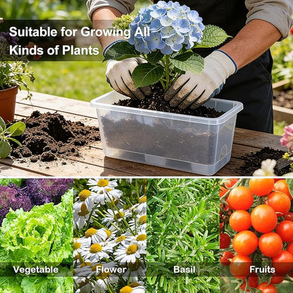 Window Box Planter 6 Packs, 13.8 Inches Rectangle Flower Pots with Drainage Holes & Trays, Pots for Vegetables, Herbs, Flowers, Garden Windowsill Balcony (Translucent White)