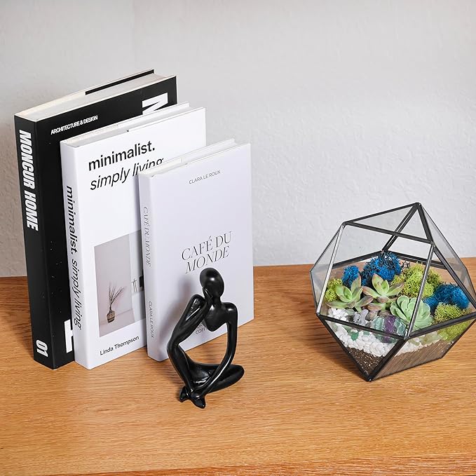 Terrarium Kit with 7-Inch Glass Dodecahedron Container, Moss and Tools