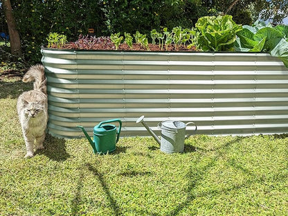 Plant & Plot Galvanized Raised Garden Beds Outdoor // 6×2×2 ft Planter Raised Beds for Gardening, Vegetables, Flowers // Large Metal Garden Box (Silver) // Patented Tool-Free Design